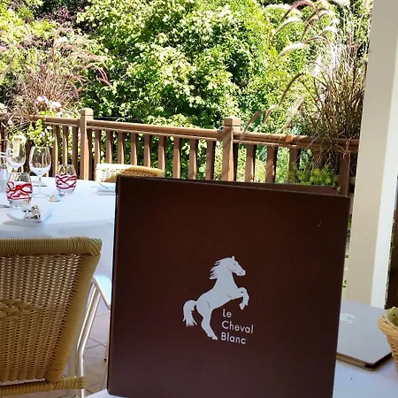 Logis & Restaurant Le Cheval Blanc Et Clovis מלון