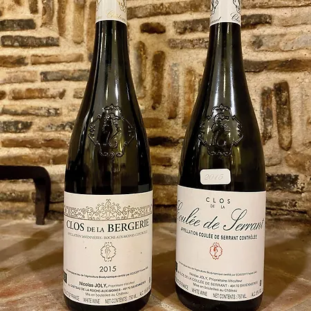Logis & Restaurant Le Cheval Blanc Et Clovis Vouille (Vienne)