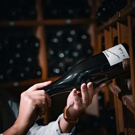 Logis & Restaurant Le Cheval Blanc Et Clovis 3* Vouillé