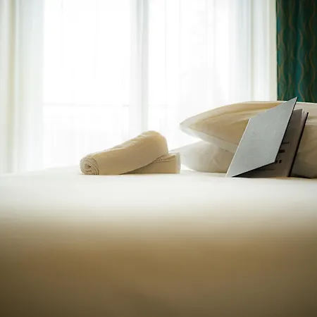 מלון Logis & Restaurant Le Cheval Blanc Et Clovis 3*