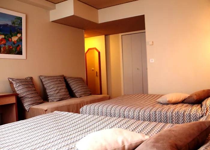 酒店 Logis & Restaurant Le Cheval Blanc Et Clovis