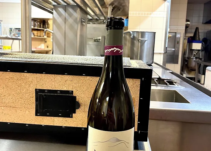 Logis & Restaurant Le Cheval Blanc Et Clovis 酒店